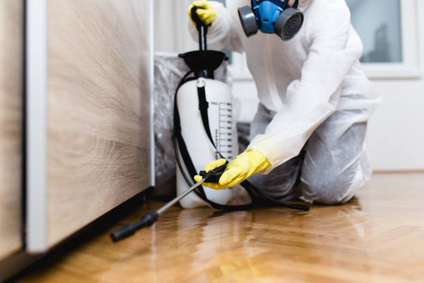 Best Mosquito Control Services  in Goodwell, OK