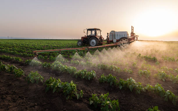 Professional Pest Control in Goodwell, OK