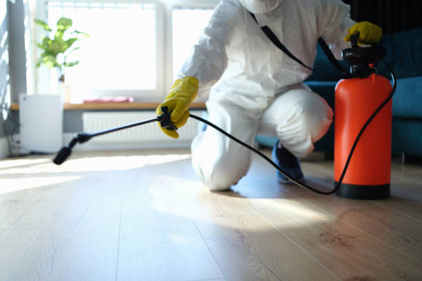 Best Best Pest Control Companies  in Goodwell, OK