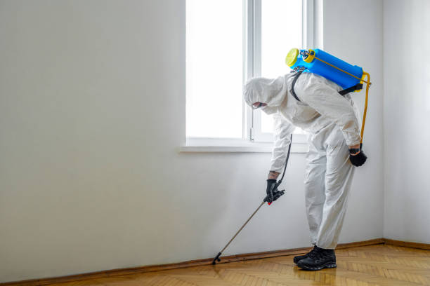 Best Termite Control Services  in Goodwell, OK