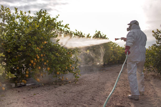 Best Commercial Pest Control Services  in Goodwell, OK