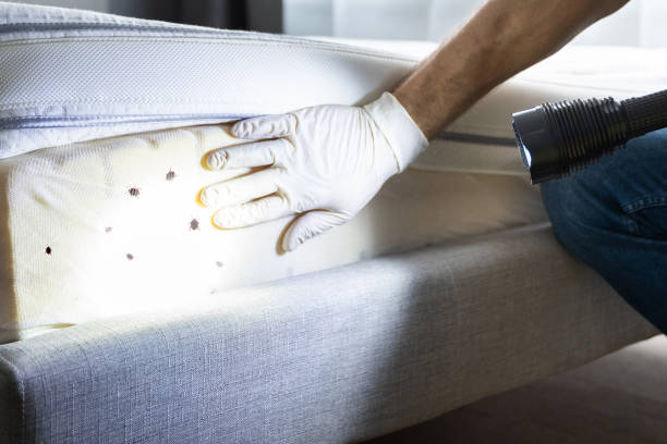 Best Pest Inspection Near Me  in Goodwell, OK
