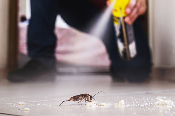 Best Commercial Pest Control Services  in Goodwell, OK