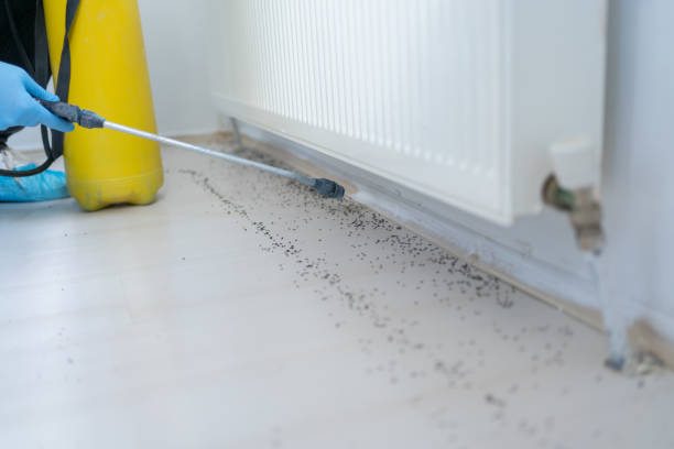 Best Pest Control Near Me  in Goodwell, OK