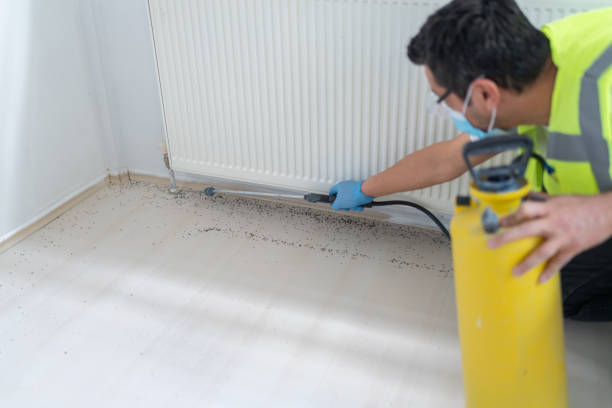 Best Ant Control Services  in Goodwell, OK
