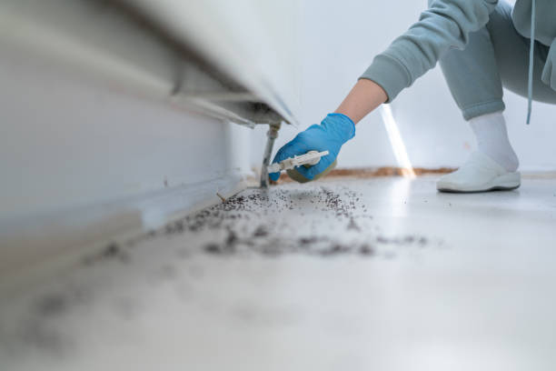 Best Bed Bug Extermination  in Goodwell, OK