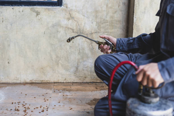 Best Exterminator Services  in Goodwell, OK