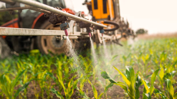 Best Pest Control for Homes  in Goodwell, OK