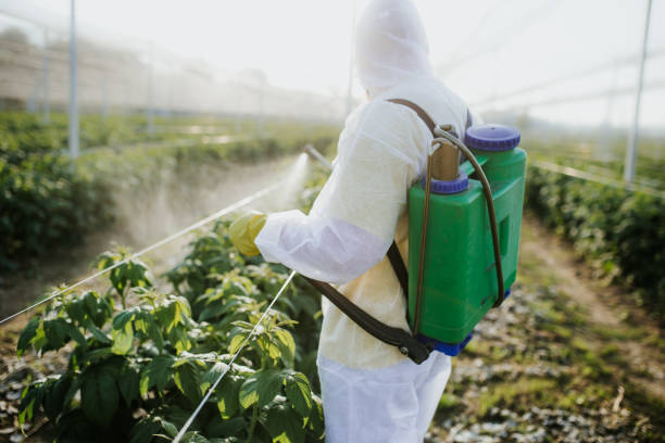 Best Pest Removal Services  in Goodwell, OK